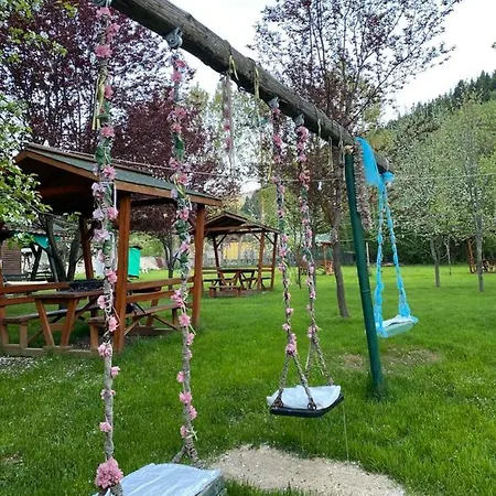 Abant Yesil Vadi Koc *